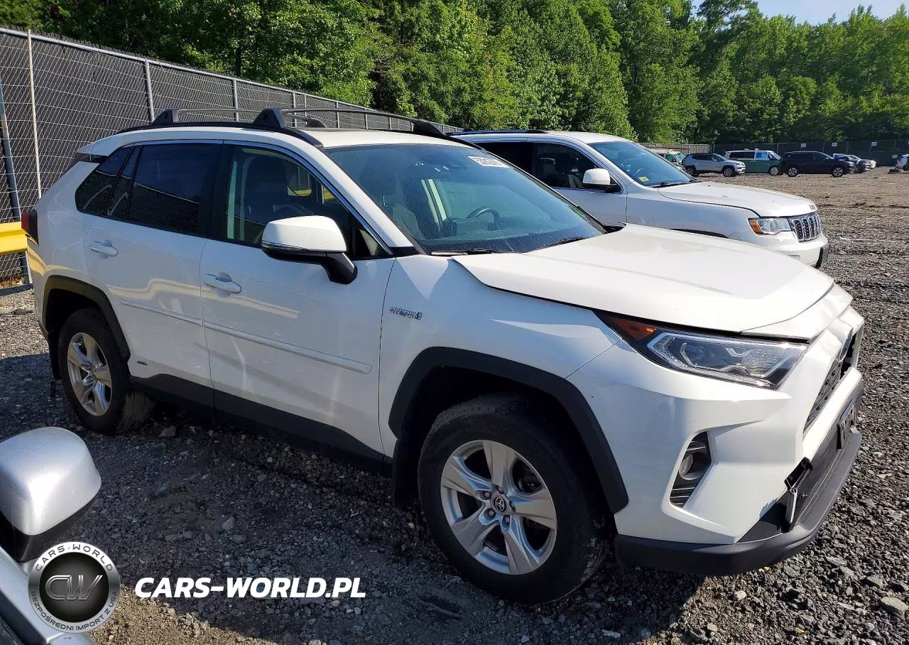 2019 Toyota Rav4 Hybrid Xle VIN:JTMRWRFV2KD036524 - 4