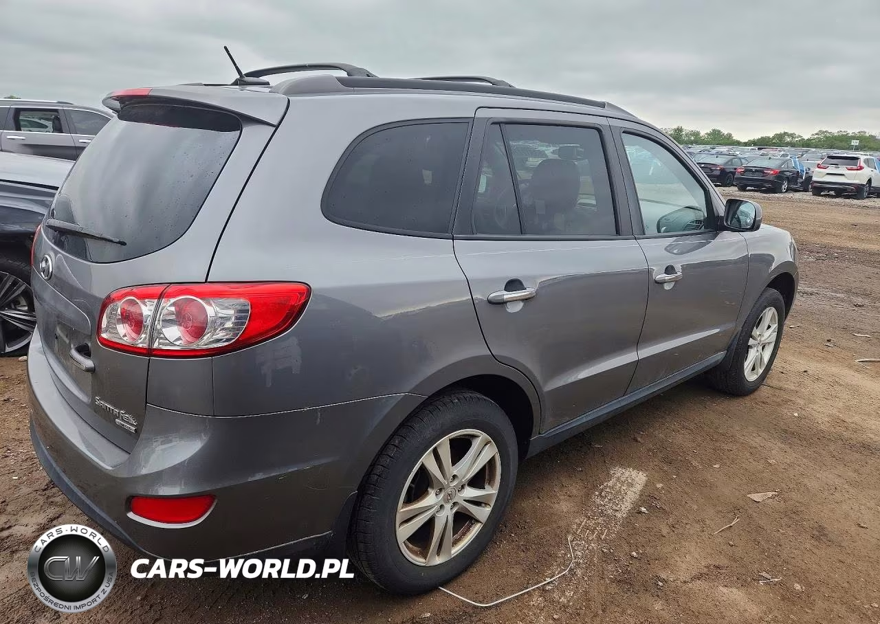 2010 Hyundai Santa Fe VIN:5NMSK4AG8AH404994 - 3
