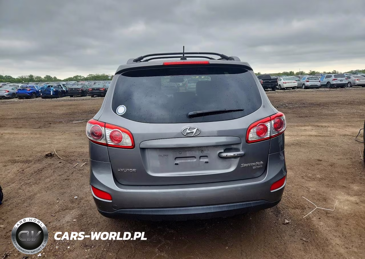 2010 Hyundai Santa Fe VIN:5NMSK4AG8AH404994 - 6