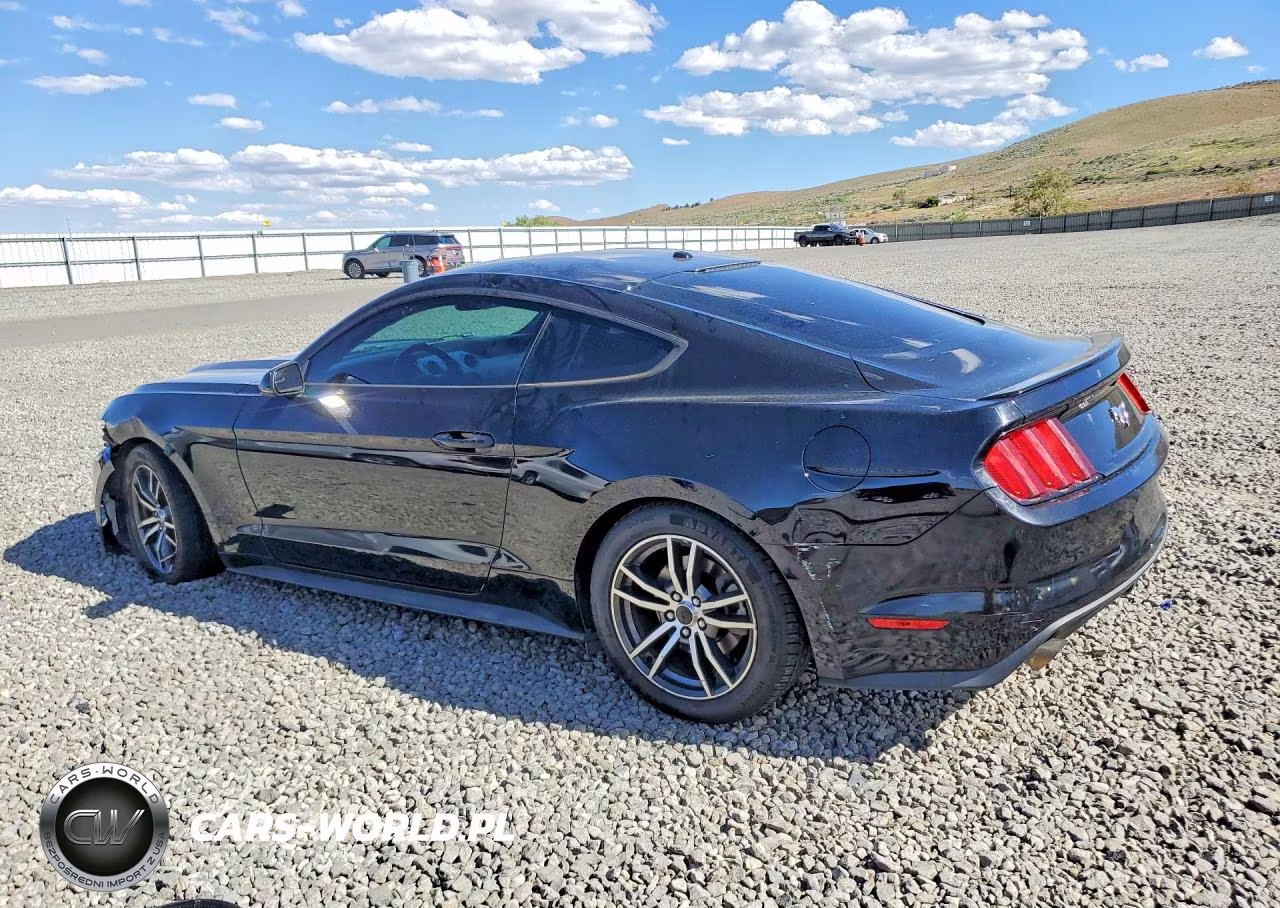 2016 Ford Mustang VIN:1FA6P8TH7G5243796 - 2