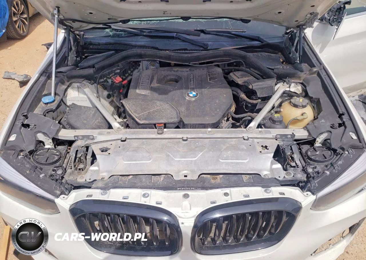 2019 BMW X3 Sdrive30I VIN:5UXTR7C56KLF29359 - 12