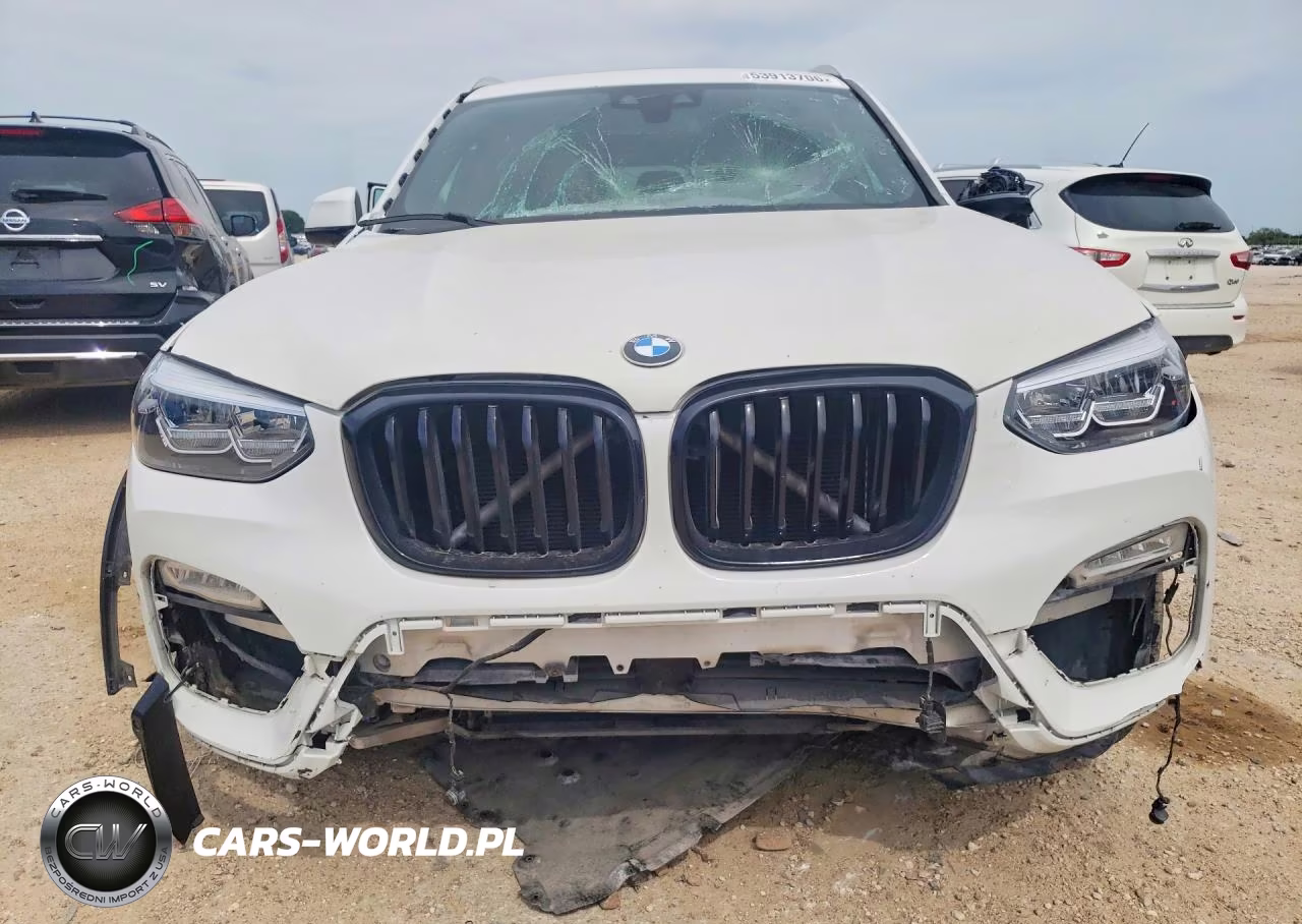 2019 BMW X3 Sdrive30I VIN:5UXTR7C56KLF29359 - 5