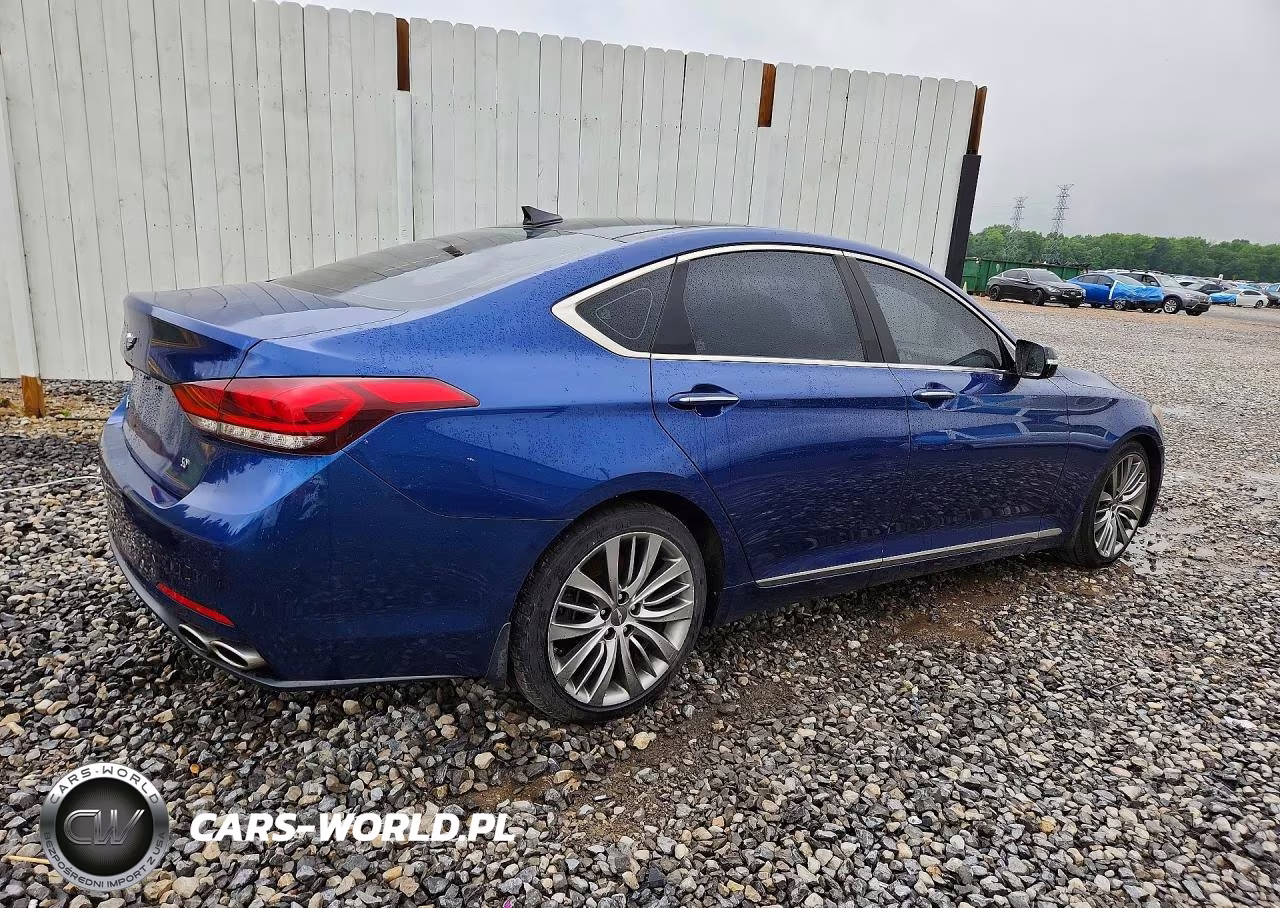 2015 Hyundai Genesis 5.0L VIN:KMHGN4JF0FU058858 - 3