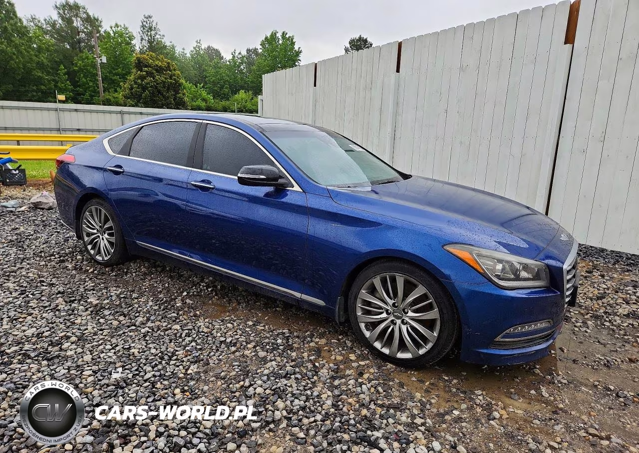 2015 Hyundai Genesis 5.0L VIN:KMHGN4JF0FU058858 - 4