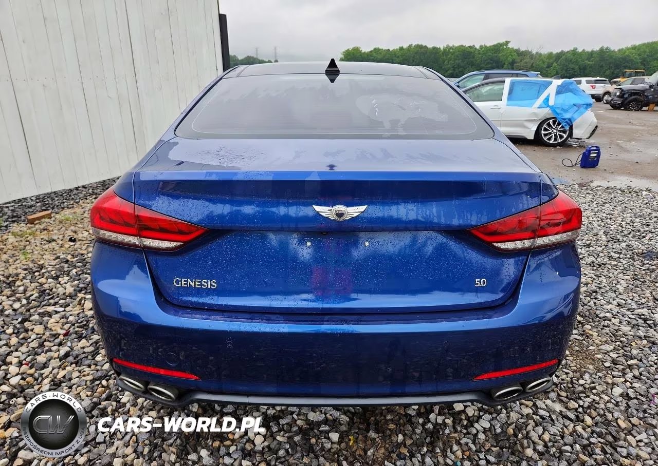 2015 Hyundai Genesis 5.0L VIN:KMHGN4JF0FU058858 - 6