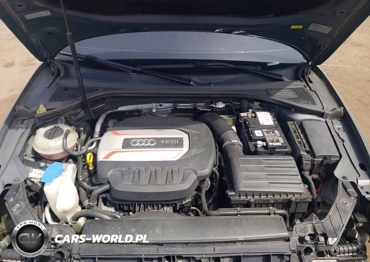 2017 Audi S3 Premium Plus VIN:WAUB1GFFXH1042737 - 11