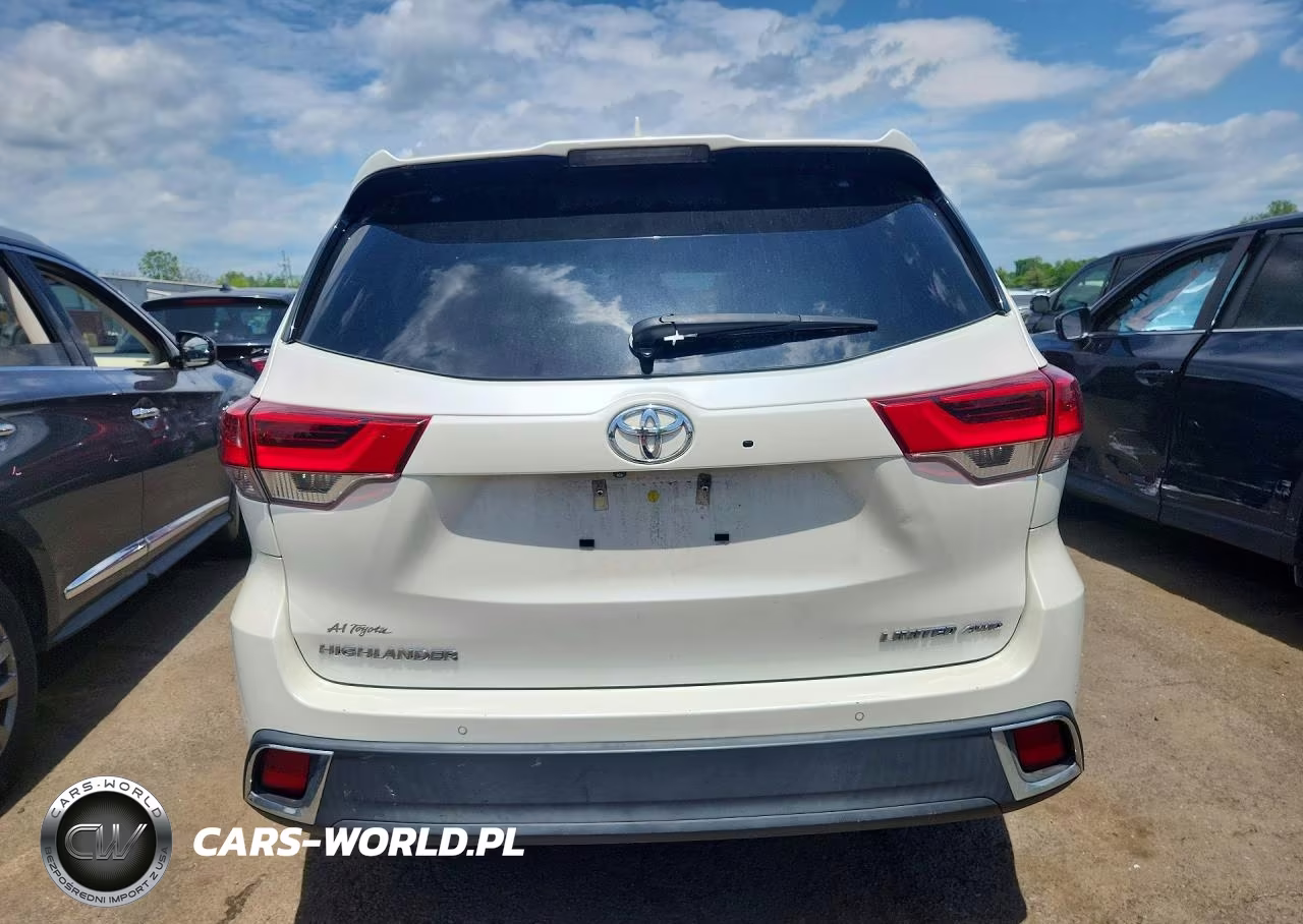 2019 Toyota Highlander Limited Platinum VIN:5TDDZRFH4KS995066 - 6