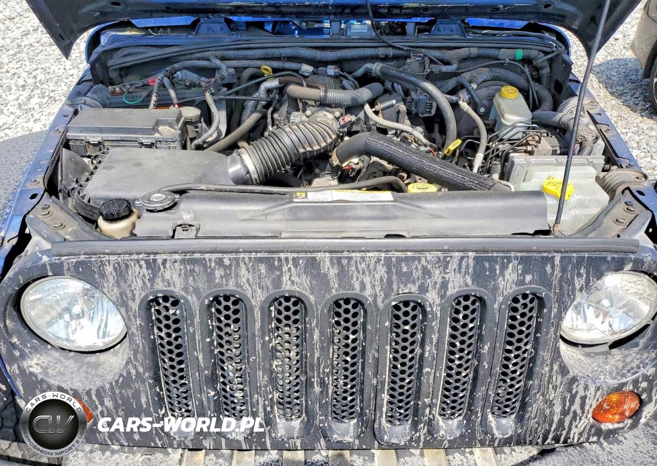 2009 Jeep Wrangler X VIN:1J4FA24179L714297 - 11