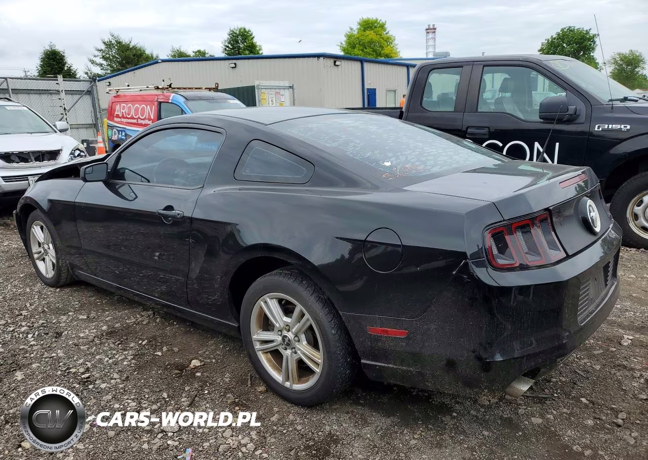 2014 Ford Mustang VIN:1ZVBP8AM4E5200441 - 2