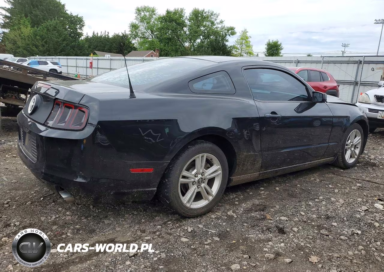 2014 Ford Mustang VIN:1ZVBP8AM4E5200441 - 3