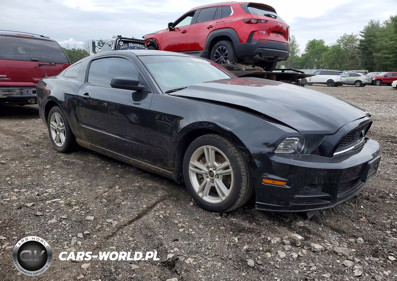 2014 Ford Mustang VIN:1ZVBP8AM4E5200441 - 4