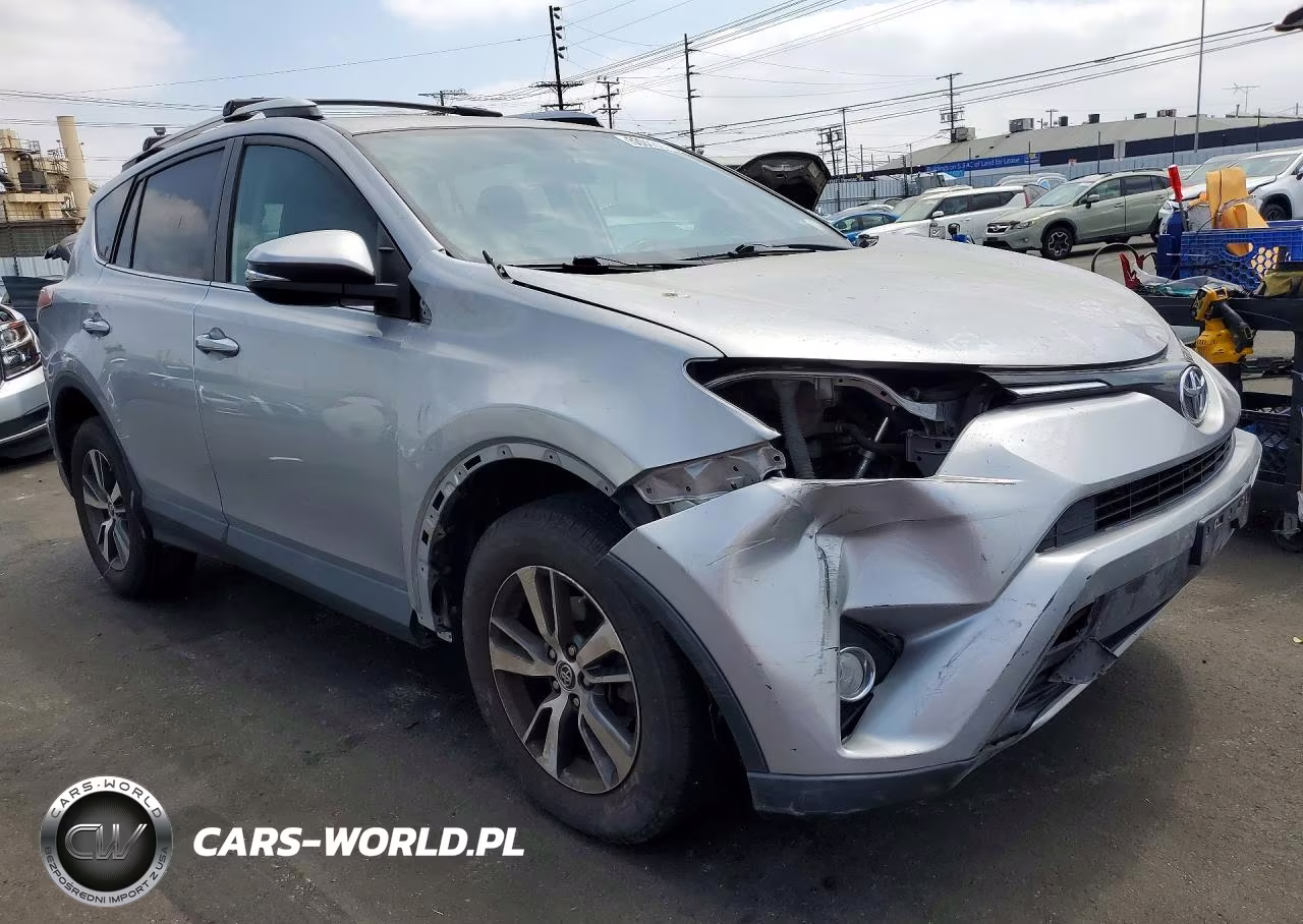 2016 Toyota Rav4 Xle VIN:2T3RFREV9GW448208 - 4