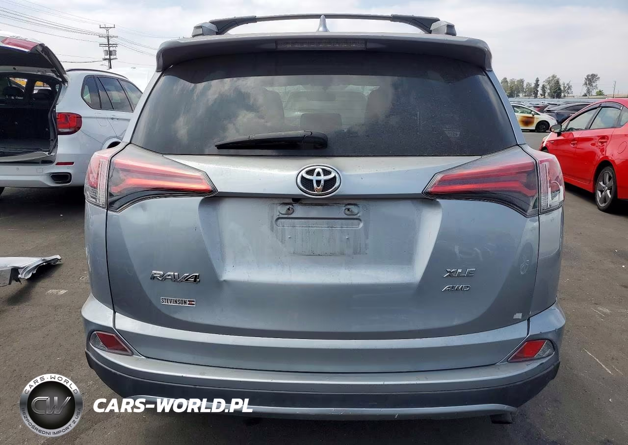 2016 Toyota Rav4 Xle VIN:2T3RFREV9GW448208 - 6