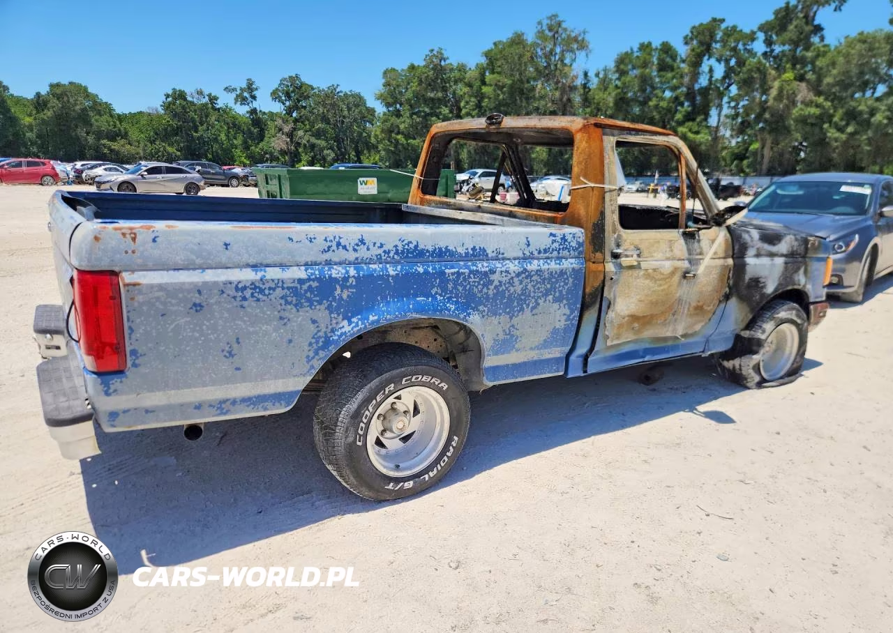 1991 Ford F150 VIN:1FTDF15Y9MNA96546 - 3