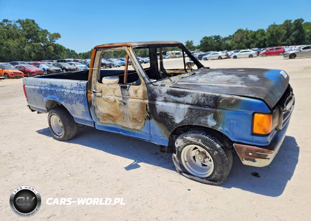 1991 Ford F150 VIN:1FTDF15Y9MNA96546 - 4