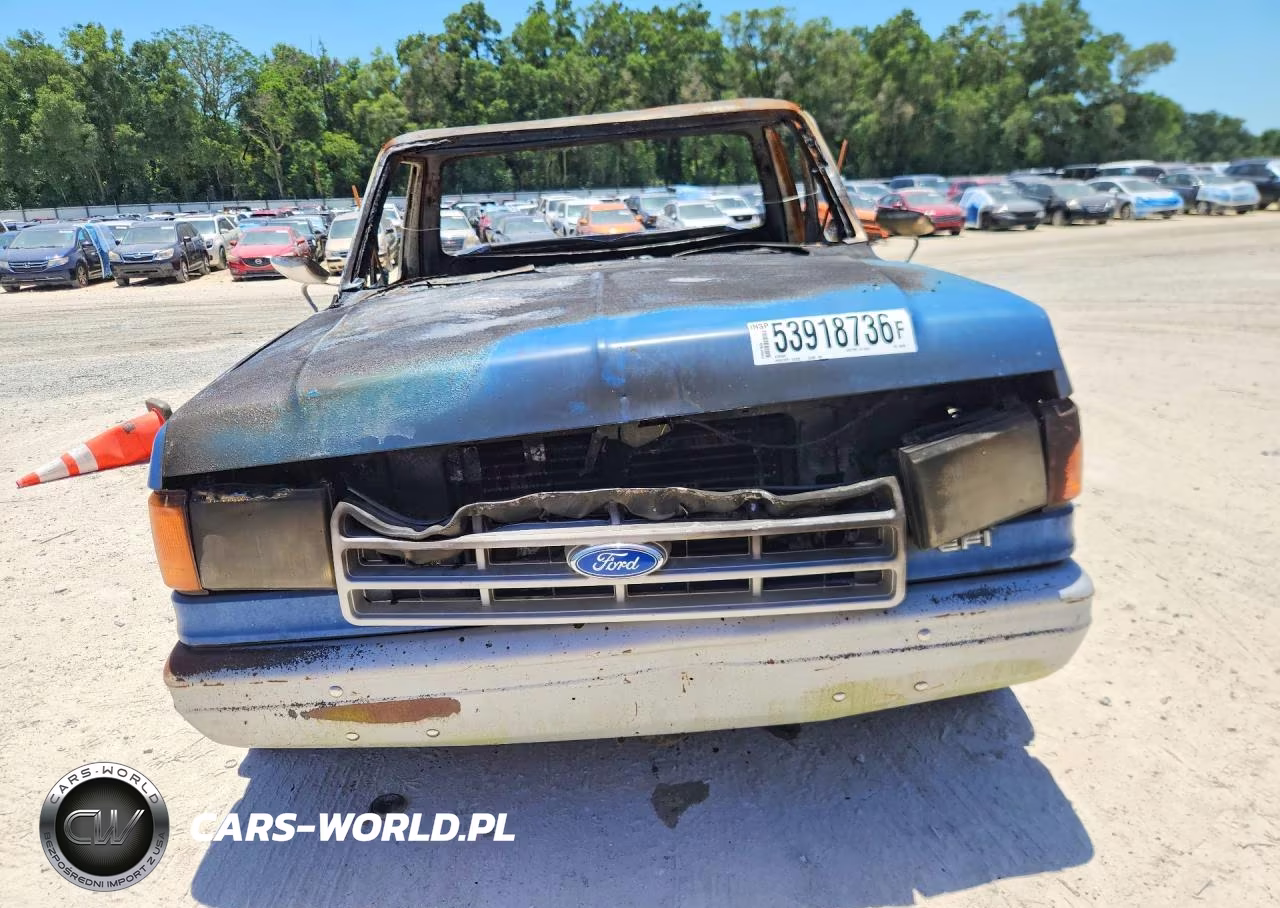 1991 Ford F150 VIN:1FTDF15Y9MNA96546 - 5