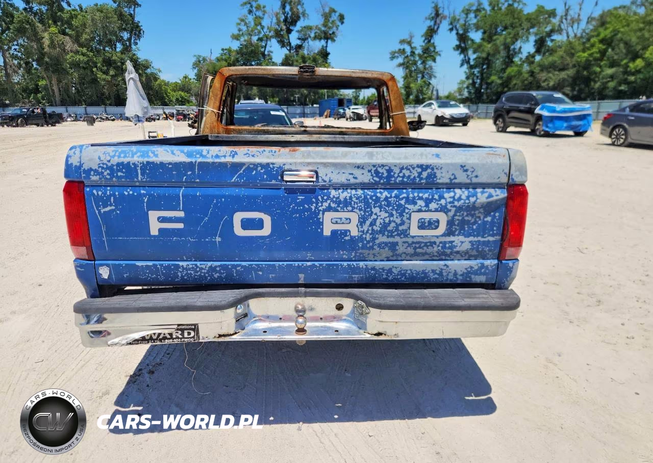 1991 Ford F150 VIN:1FTDF15Y9MNA96546 - 6
