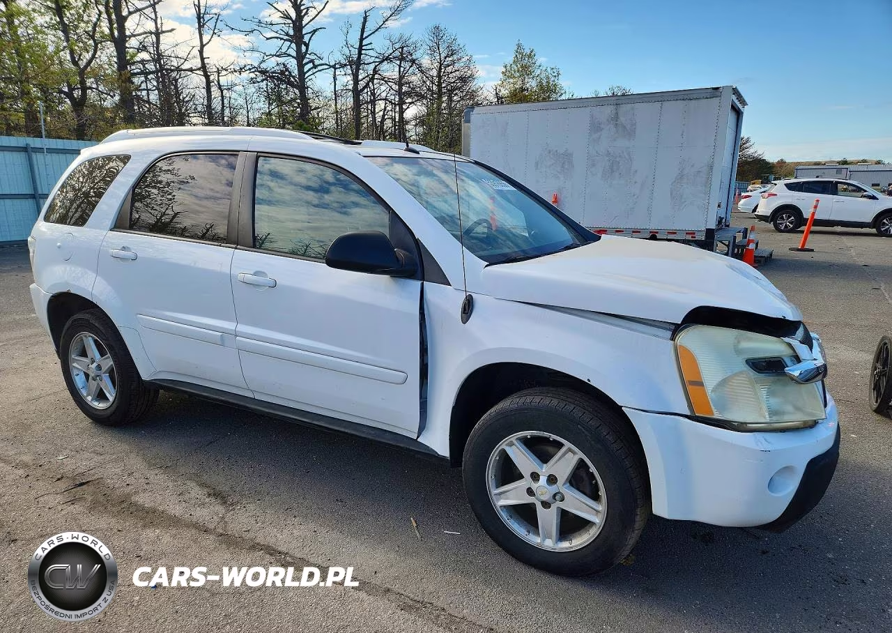 2005 Chevrolet Equinox Lt VIN:2CNDL73F456132755 - 4