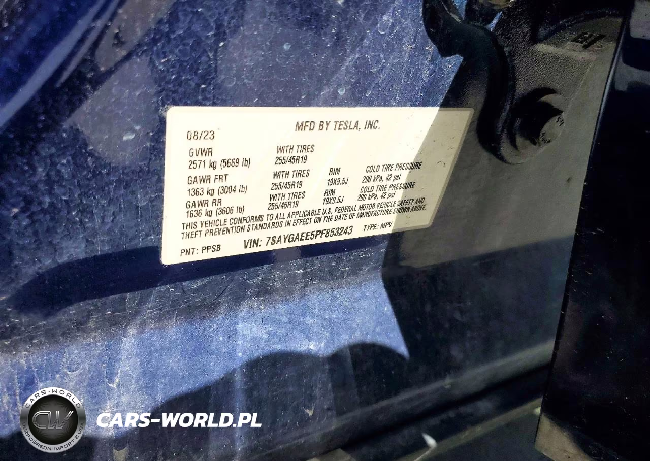 2023 Tesla Model Y VIN:7SAYGAEE5PF853243 - 12