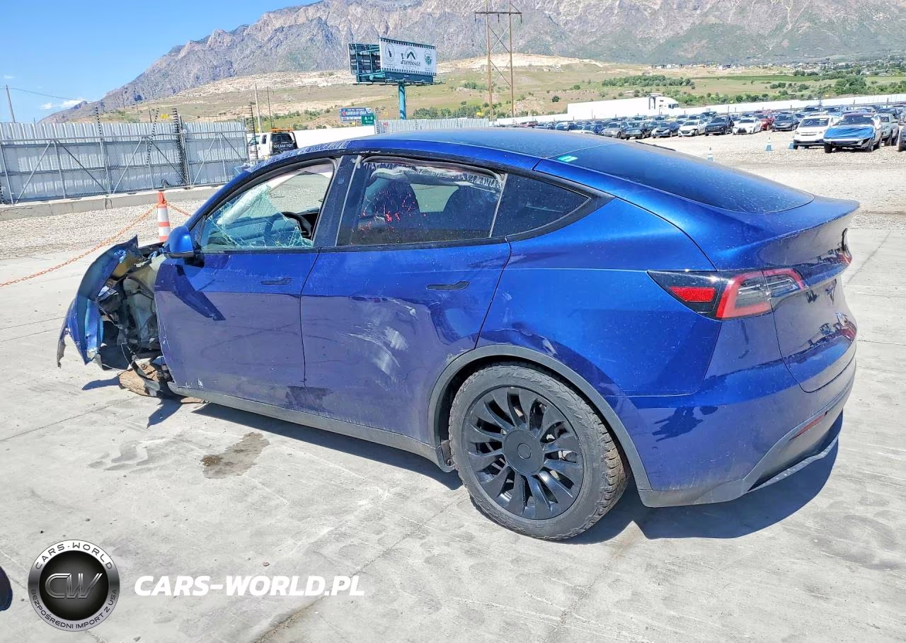 2023 Tesla Model Y VIN:7SAYGAEE5PF853243 - 2