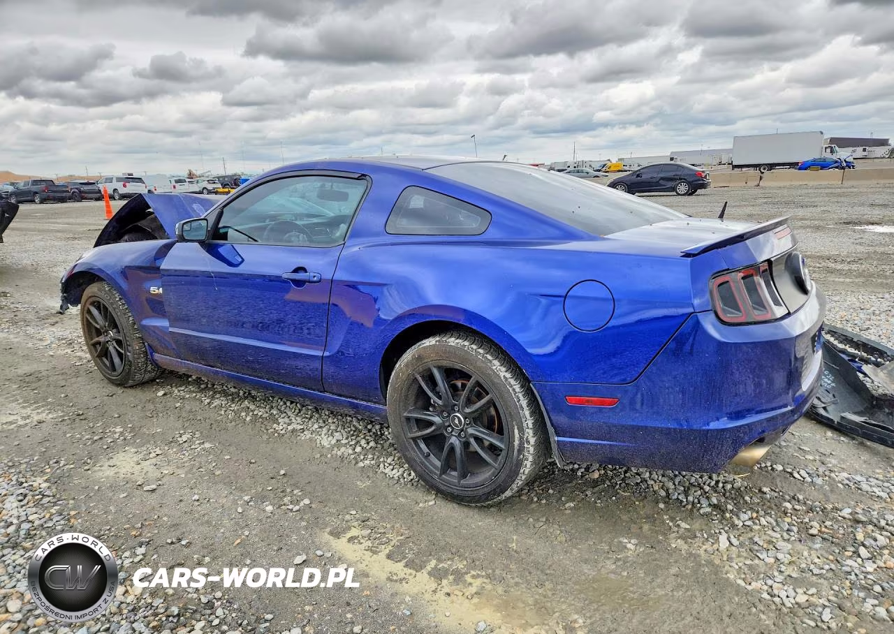 2013 Ford Mustang Gt VIN:1ZVBP8CF4D5269062 - 2