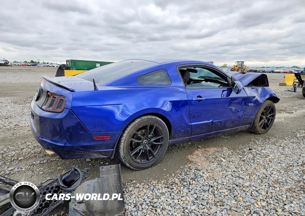 2013 Ford Mustang Gt VIN:1ZVBP8CF4D5269062 - 3