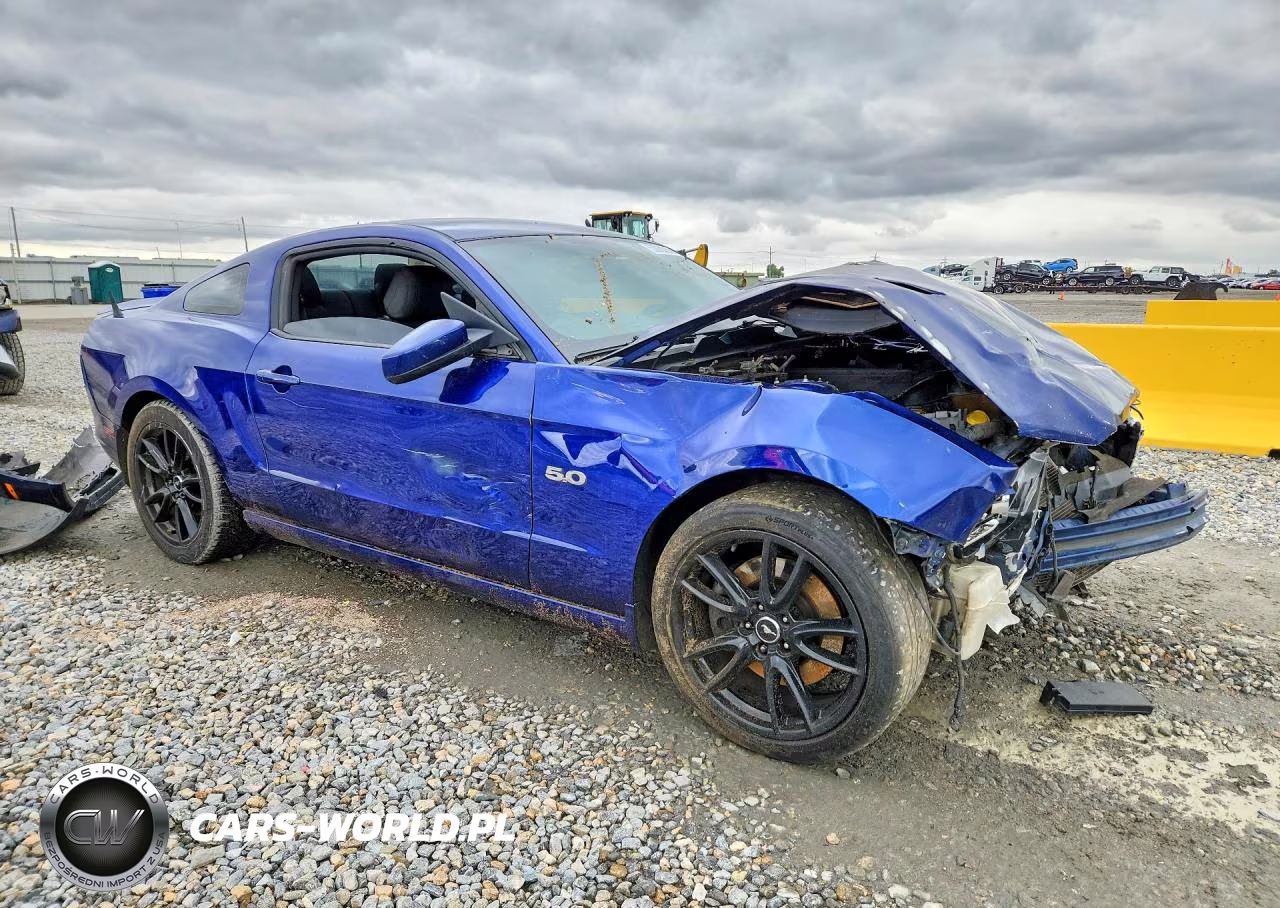 2013 Ford Mustang Gt VIN:1ZVBP8CF4D5269062 - 4