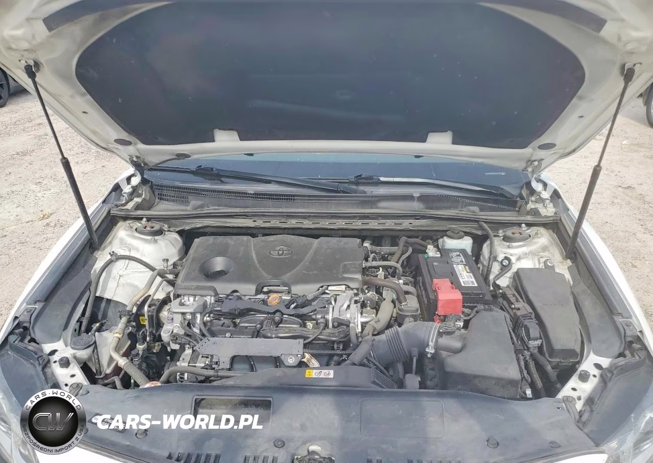 2019 Toyota Camry Se VIN:4T1B11HK4KU847080 - 11