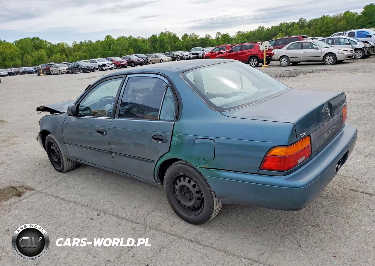 1995 Toyota Corolla Dx VIN:2T1AE09B9SC124710 - 2