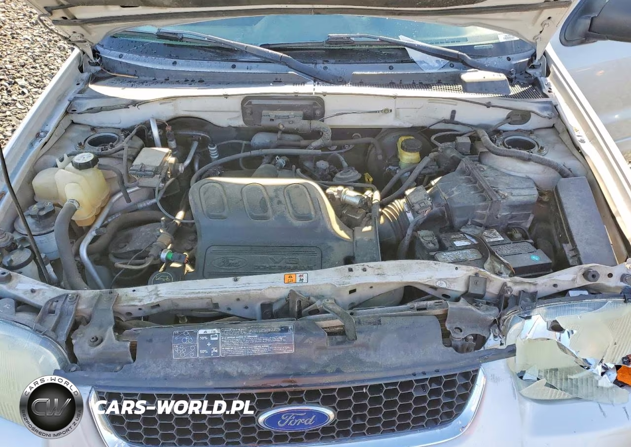 2003 Ford Escape Limited VIN:1FMCU94173KC66810 - 12
