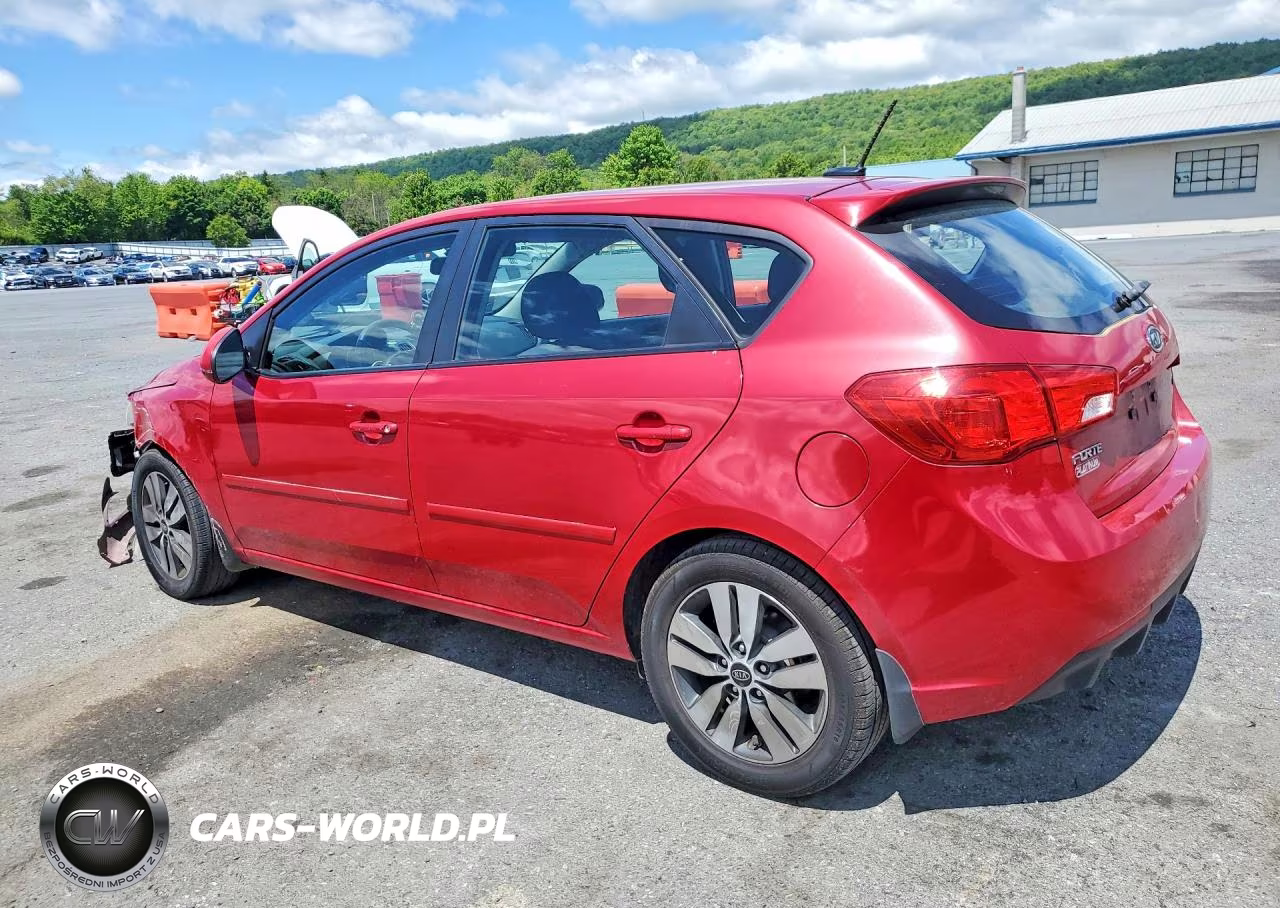2013 Kia Forte Ex VIN:KNAFU5A26D5664174 - 2