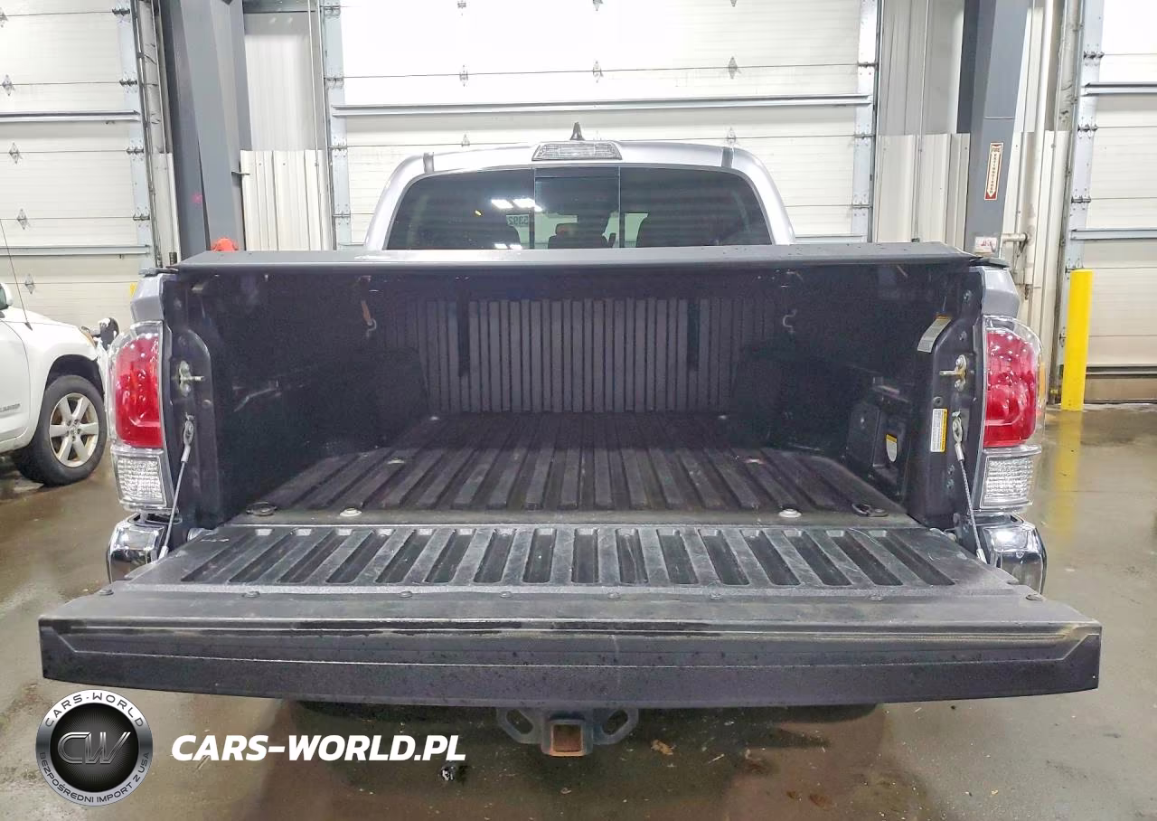 2020 Toyota Tacoma Trd Off-Road VIN:3TMCZ5AN1LM334176 - 6