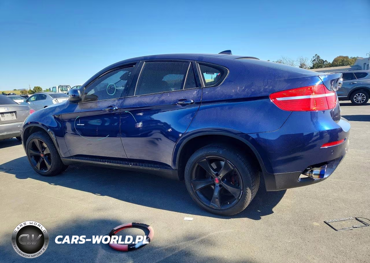 2009 BMW X6 VIN:5UXFG83549LZ93573 - 2