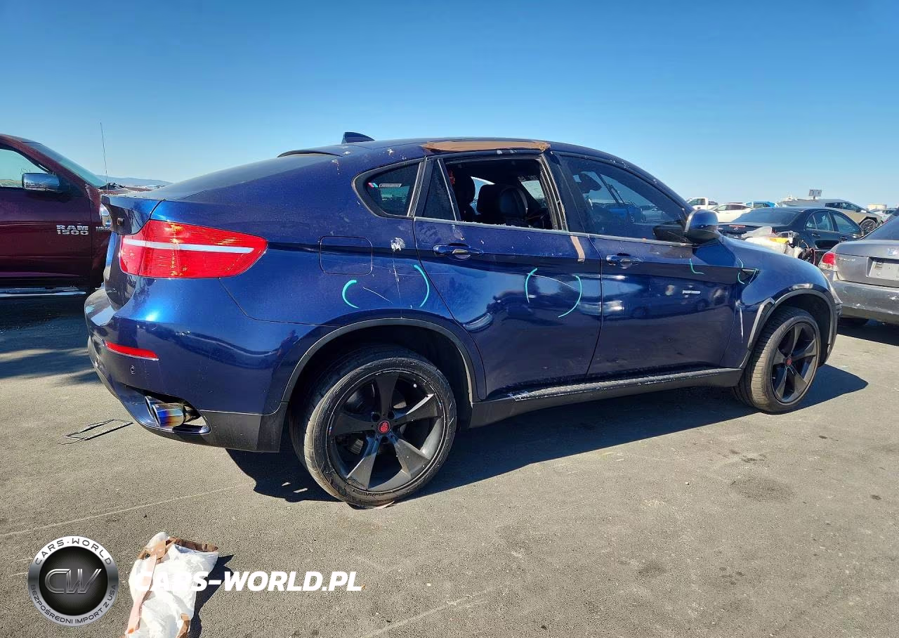 2009 BMW X6 VIN:5UXFG83549LZ93573 - 3