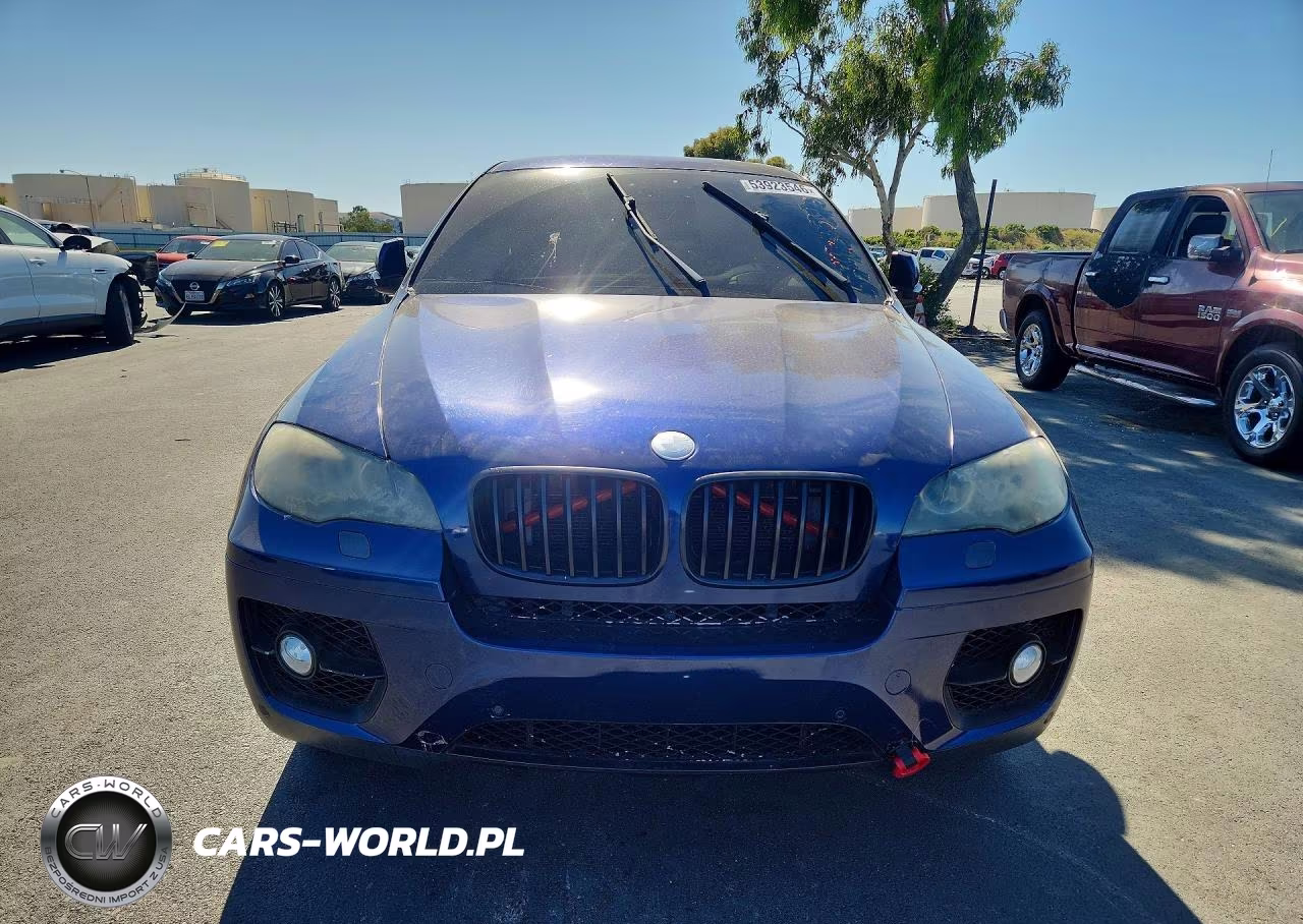 2009 BMW X6 VIN:5UXFG83549LZ93573 - 5