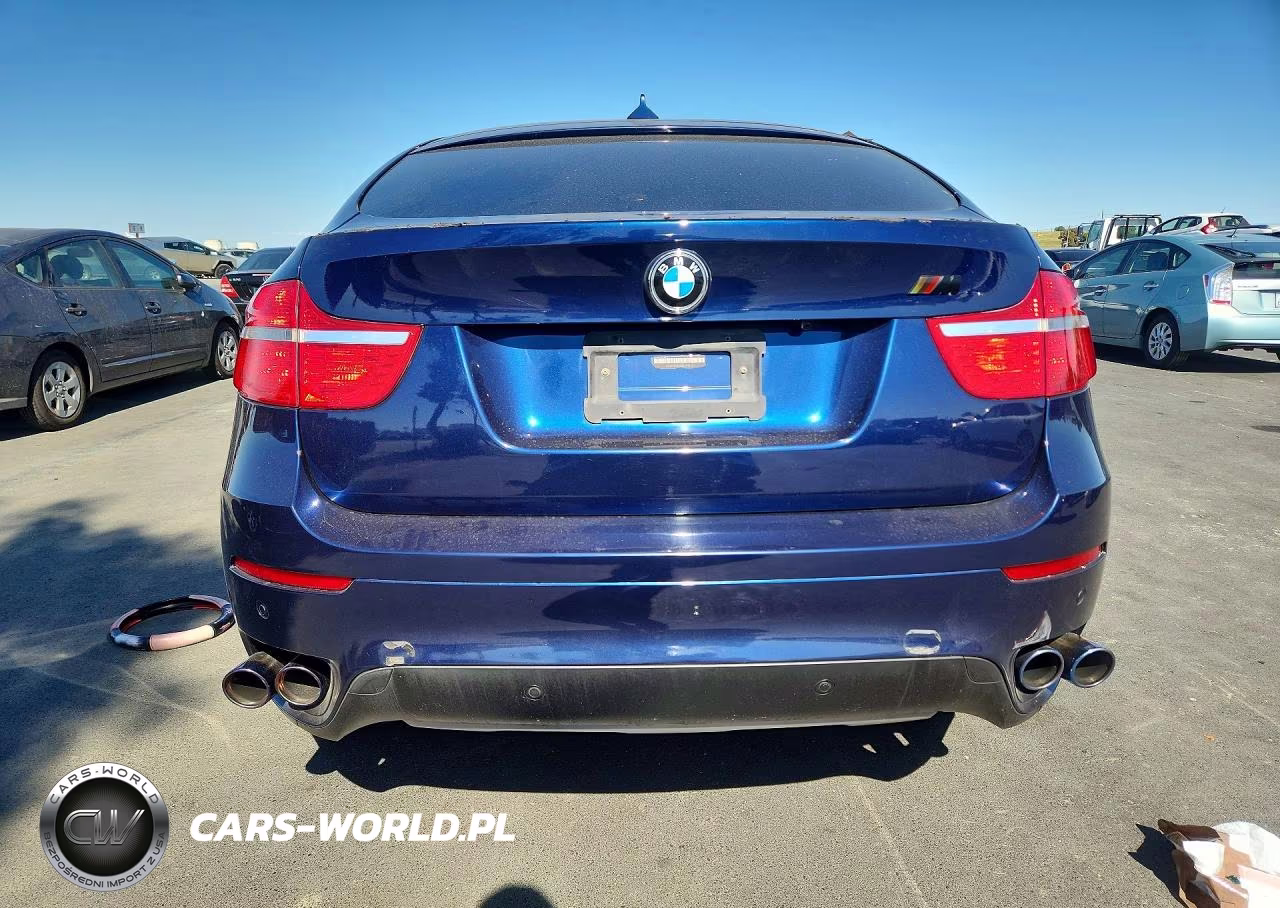 2009 BMW X6 VIN:5UXFG83549LZ93573 - 7