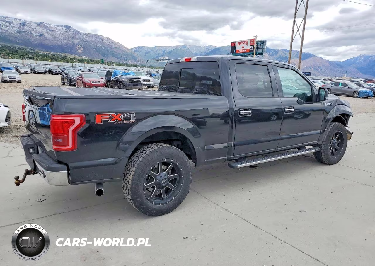 2017 Ford F150 Supercrew VIN:1FTFW1EG5HKE17795 - 3