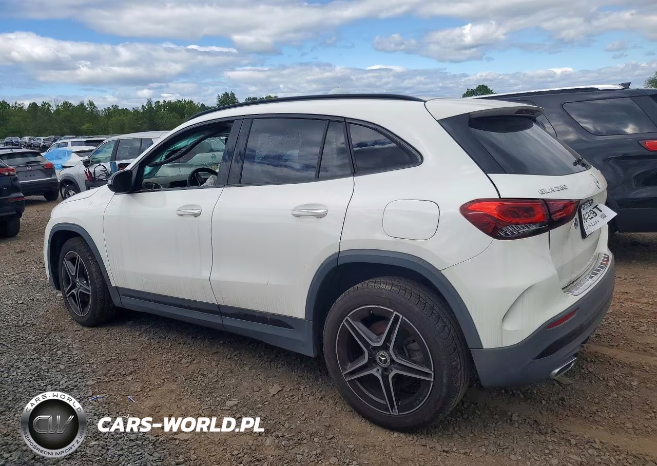 2021 Mercedes-Benz Gla 250 4Matic VIN:W1N4N4HB2MJ244497 - 2