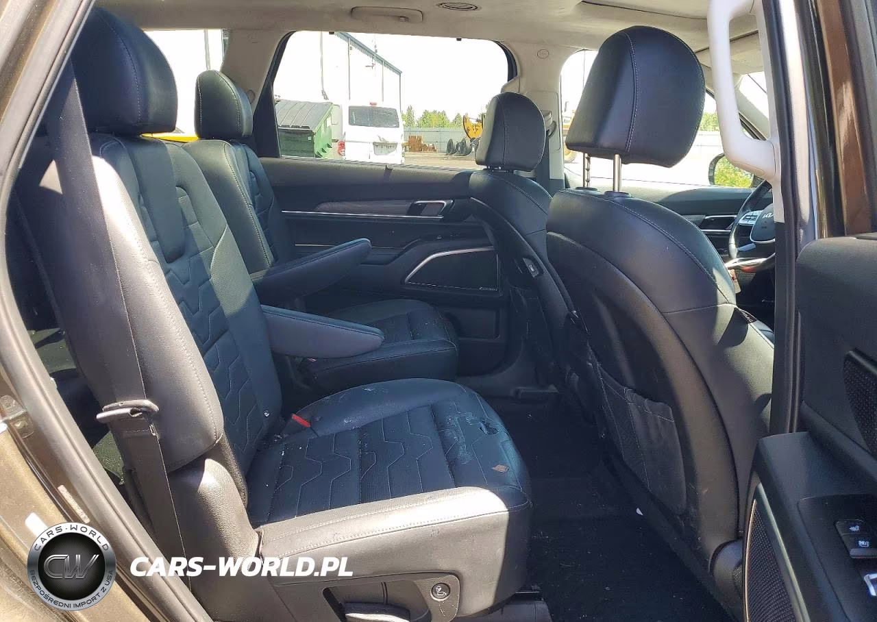 2022 Kia Telluride Sx VIN:5XYP5DHC0NG315534 - 10