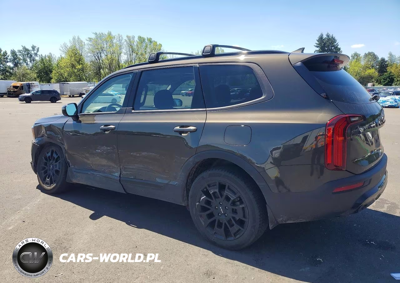 2022 Kia Telluride Sx VIN:5XYP5DHC0NG315534 - 2