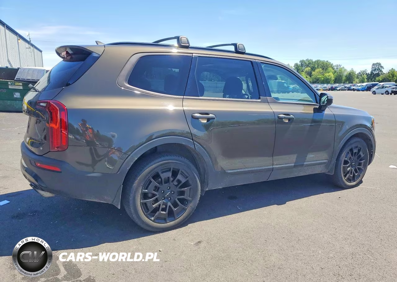 2022 Kia Telluride Sx VIN:5XYP5DHC0NG315534 - 3