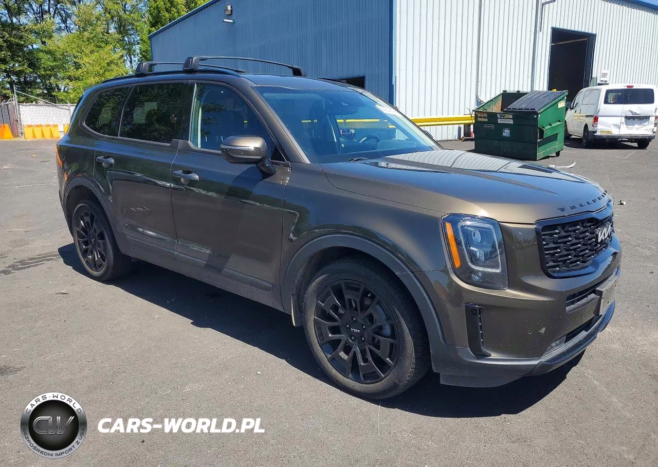2022 Kia Telluride Sx VIN:5XYP5DHC0NG315534 - 4