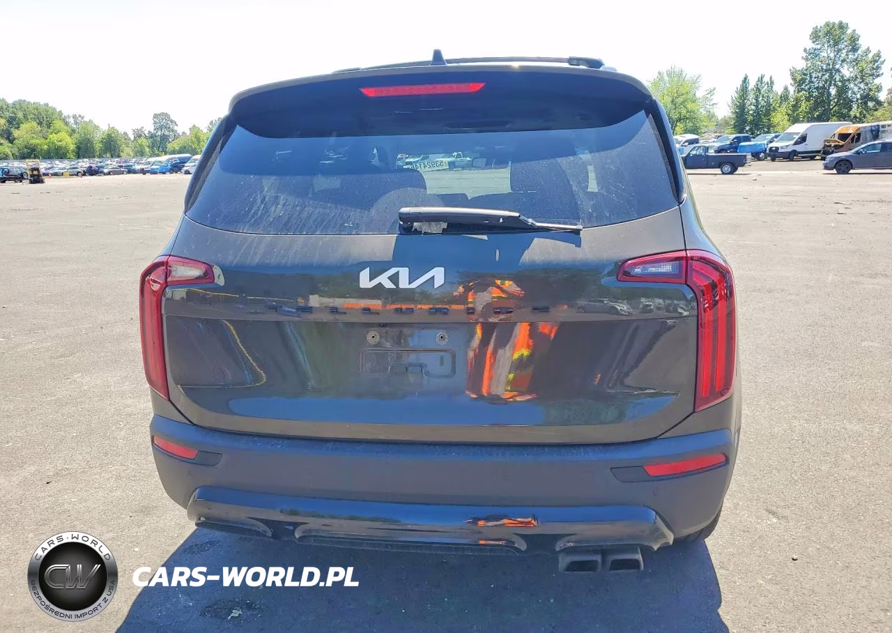 2022 Kia Telluride Sx VIN:5XYP5DHC0NG315534 - 6
