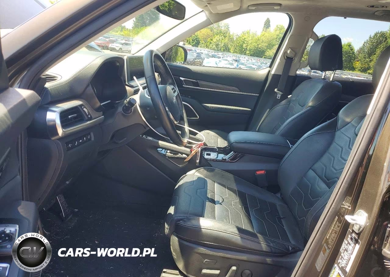 2022 Kia Telluride Sx VIN:5XYP5DHC0NG315534 - 7