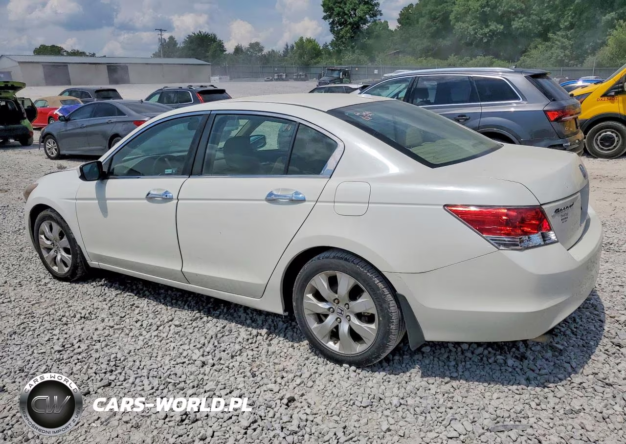 2010 Honda Accord Exl VIN:5KBCP3F89AB017228 - 2