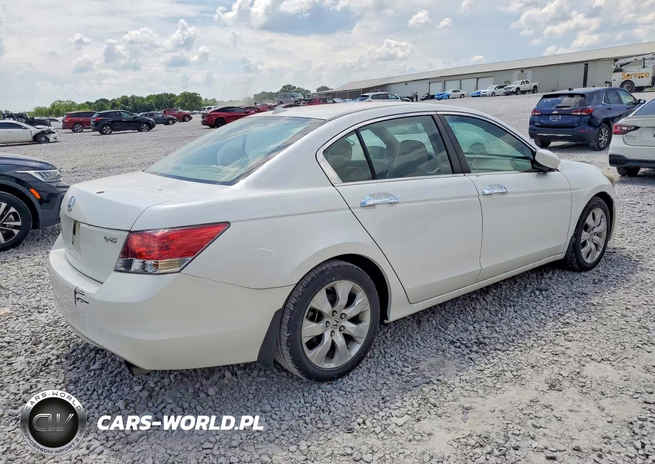 2010 Honda Accord Exl VIN:5KBCP3F89AB017228 - 3