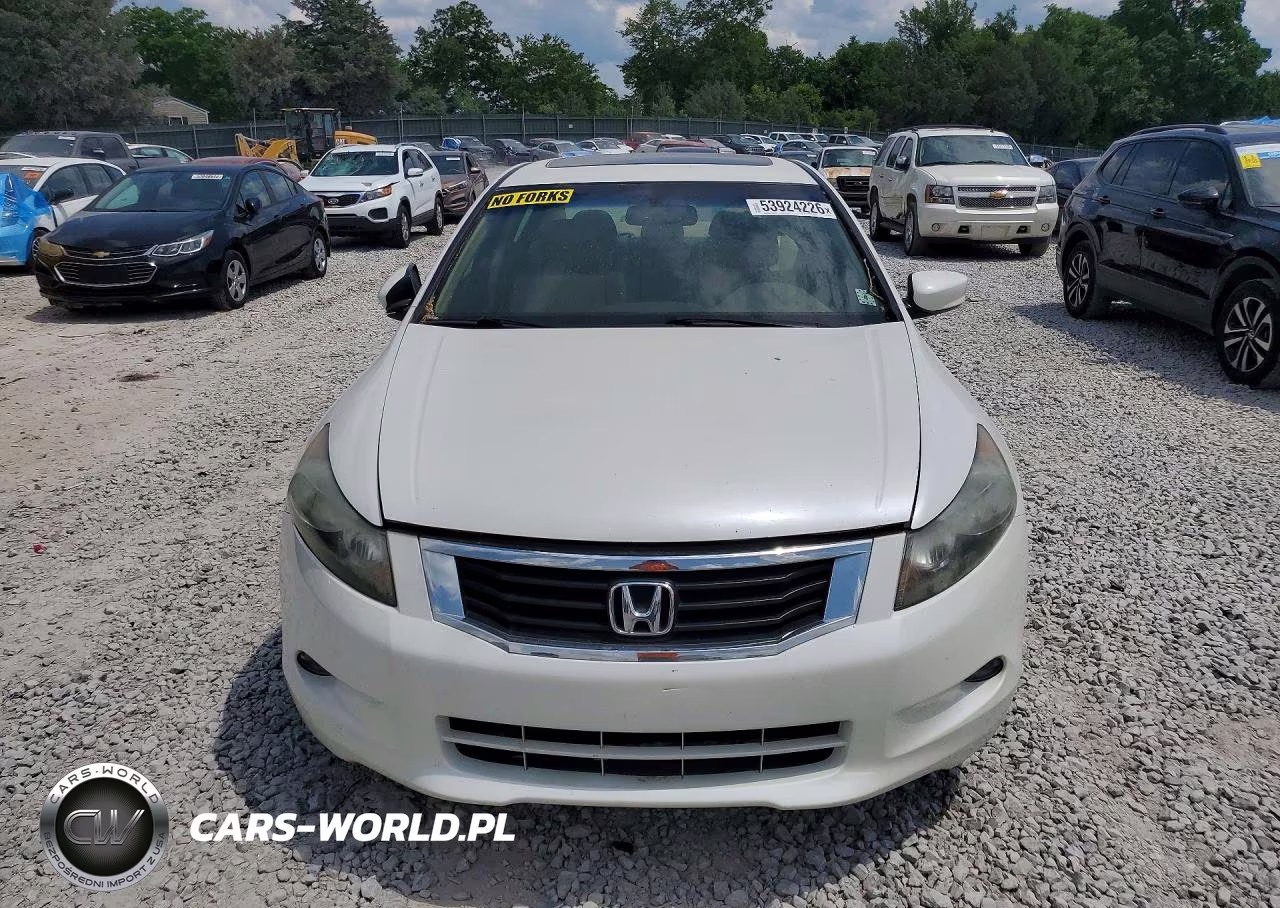 2010 Honda Accord Exl VIN:5KBCP3F89AB017228 - 5
