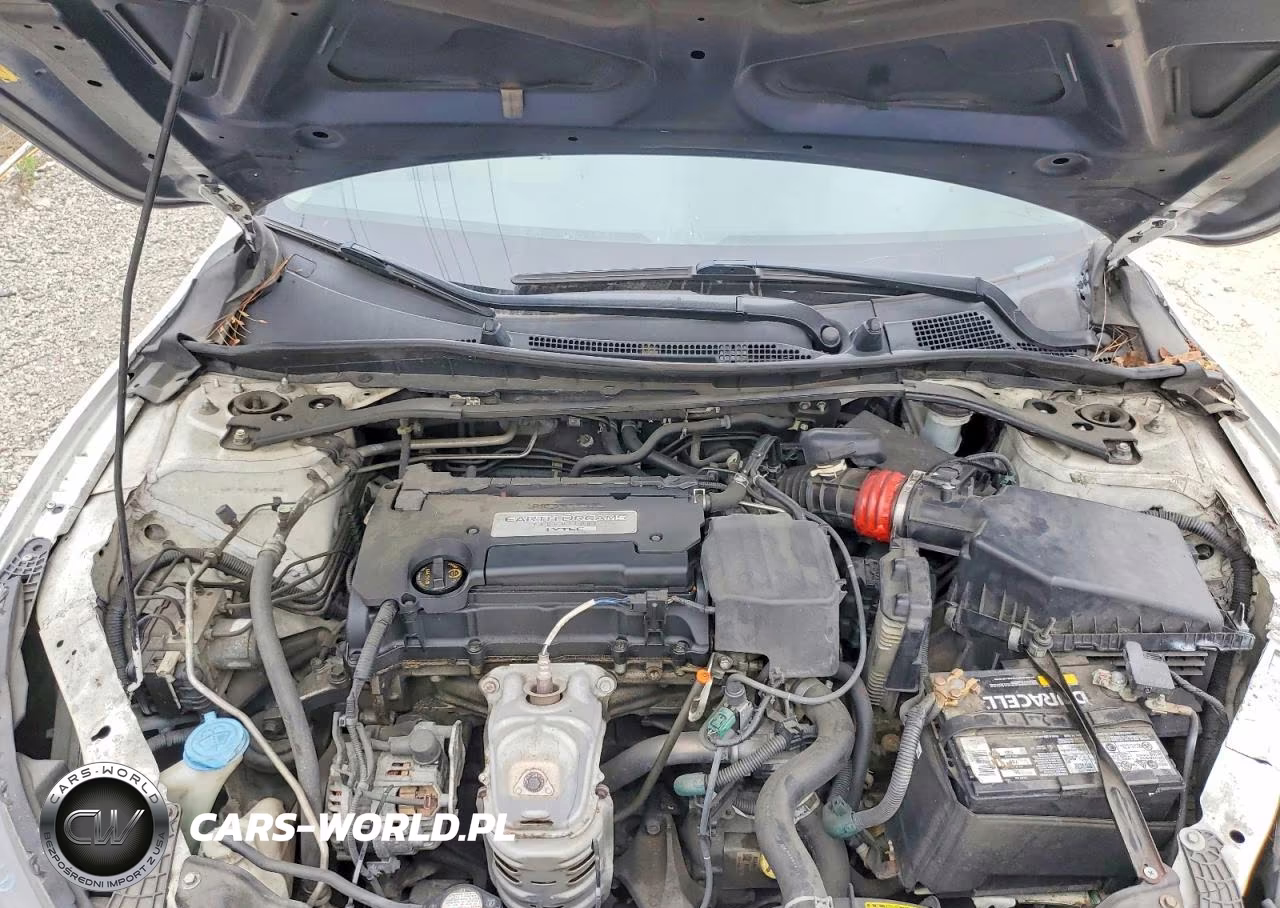 2014 Honda Accord Exl VIN:1HGCR2F82EA062305 - 11