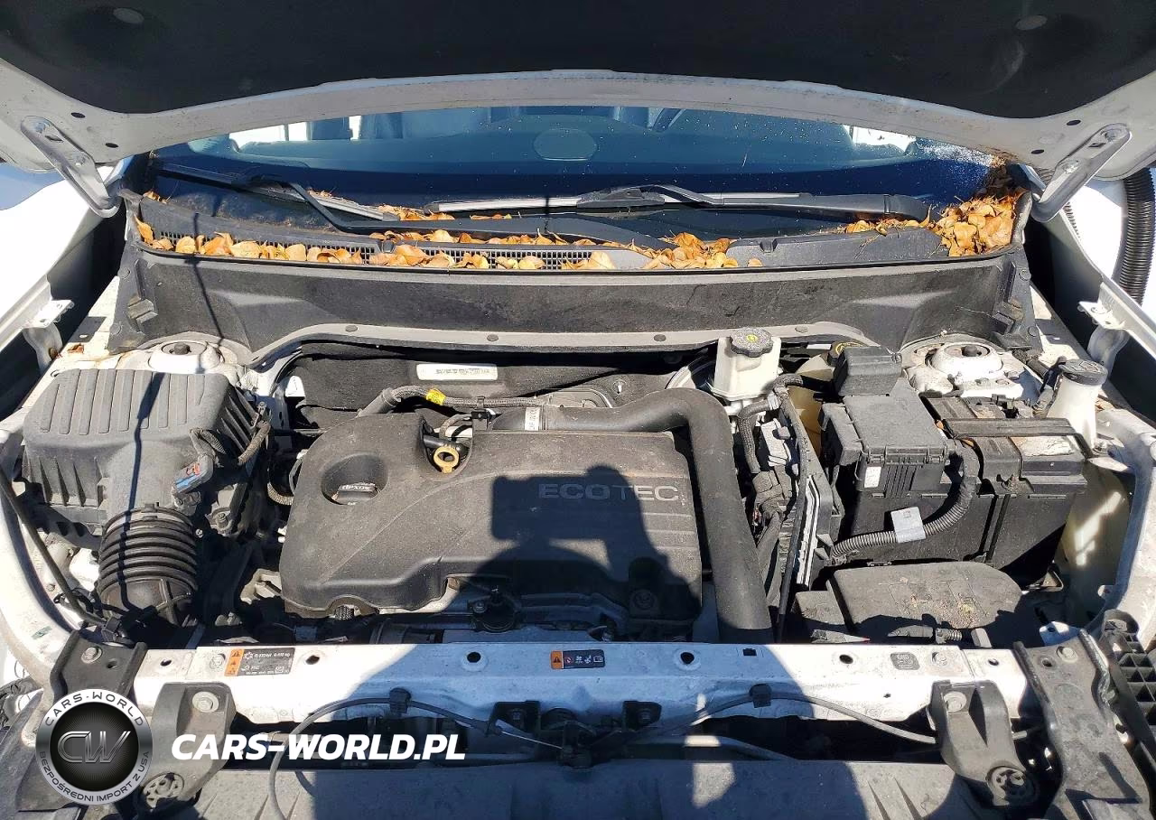 2019 GMC Terrain Slt VIN:3GKALPEV0KL290114 - 12