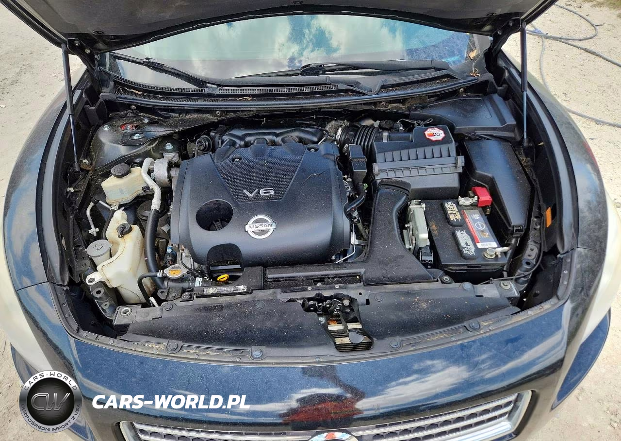 2009 Nissan Maxima 3.5 S VIN:1N4AA51E09C807953 - 11